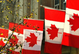 加拿大計劃出臺汽車新政 本土設(shè)廠優(yōu)先