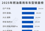 2025年燃油車型/新能源車型銷量榜