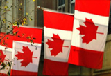 为何专家认为加拿大二手车价格难有回落