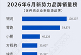 2026年6月新势力品牌/合资企业销量榜