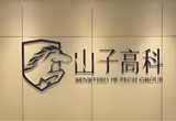 山子高科公告稱(chēng)未參與哪吒汽車(chē)破產(chǎn)重整投資