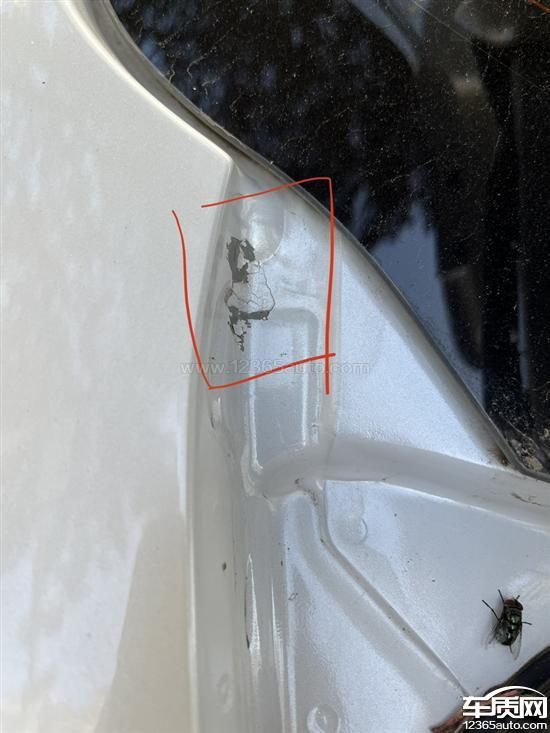 广汽丰田雷凌原厂漆面龟裂脱落 要求处理 - 车质网