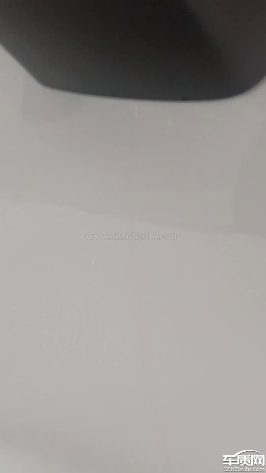 雷克萨斯NX车门漆面内部透出红色线条