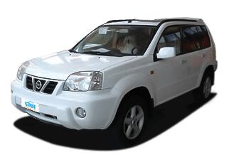 奇駿（進(jìn)口）