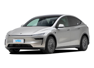 Model Y L