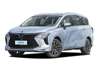 風(fēng)行游艇新能源