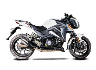 大地鹰王 小暴龙DD250R