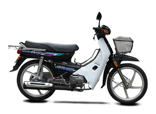 洛嘉 LJ 125-21