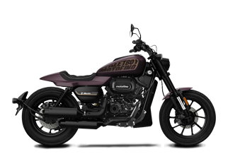 MOTOFINO 小马300