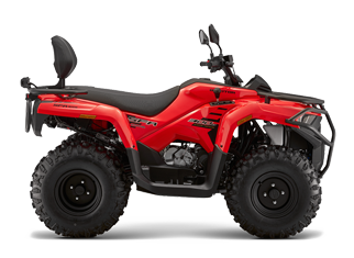 QJMOTOR ATV300