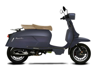 ROYAL ALLOY GP300S(进口)