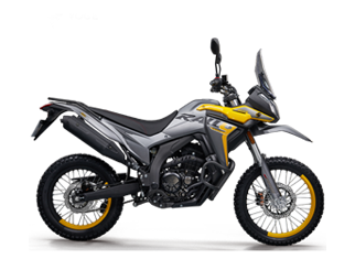 无极 300GY Rally