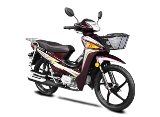 银钢侠 银威 YG110-9B