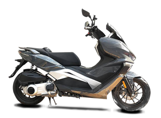 龙嘉 VMAX ie300