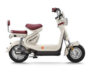 雅迪 冠能 C60