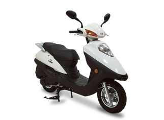 珠本 ZB125T-11