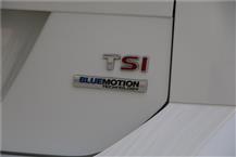 高尔夫（进口）