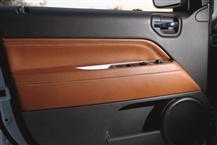 指南者（进口）