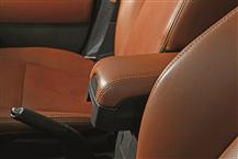 指南者（进口）