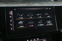 奥迪e-tron（进口）