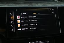 奥迪e-tron（进口）