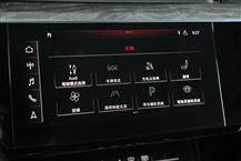 奥迪e-tron（进口）