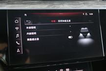 奥迪e-tron（进口）