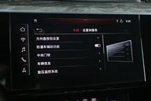 奥迪e-tron（进口）