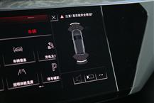 奥迪e-tron（进口）