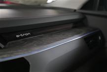 奥迪e-tron（进口）