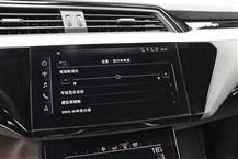 奥迪e-tron（进口）