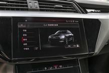 奥迪e-tron（进口）