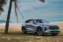 魏牌 摩卡新能源