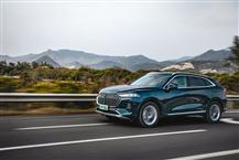 魏牌 摩卡新能源