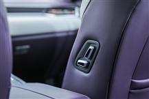 魏牌 拿铁DHT-PHEV