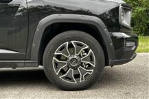 哈弗大狗PLUS新能源