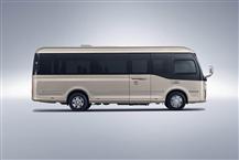 紅旗金葵花國(guó)悅新能源