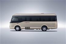 紅旗金葵花國(guó)悅新能源