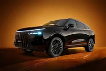 魏牌 摩卡新能源