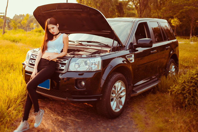 窈窕淑女与大路虎