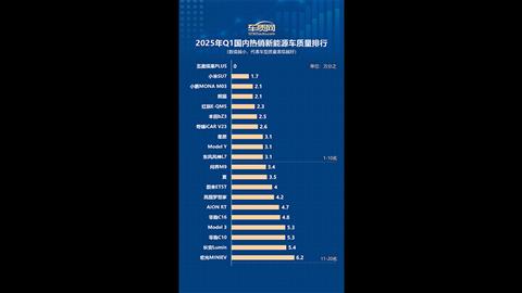 2025年一季度国内热销新能源车质量排行