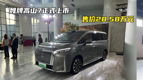 魏牌高山7正式上市 售价28.58万元